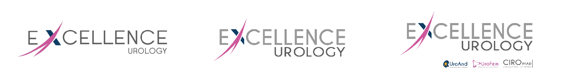 rebranding-logo-excellence-urology-agencia-t2k Mesa-de-trabajo-1